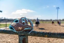 Marucci NightShift "Stallion" 44A2 11.5" Infield Baseball Glove: MFGNTSHFT-0302 27 Marucci NightShift "Stallion" 44A2 11.5" Infield Baseball Glove: MFGNTSHFT-0302 -Home Run Store 2025 Nightshift Stallion 3