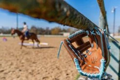 Marucci NightShift "Stallion" 44A2 11.5" Infield Baseball Glove: MFGNTSHFT-0302 32 Marucci NightShift "Stallion" 44A2 11.5" Infield Baseball Glove: MFGNTSHFT-0302 -Home Run Store 2025 Nightshift Stallion 8