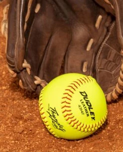 Dudley 12" NFHS Thunder Heat Fastpitch Softballs (Dozen): 43147 -Home Run Store 43147 LS 2 SPCOM