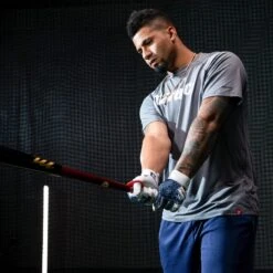 Marucci Gleyber Torres Maple Wood Baseball Bat: GLEY25 -Home Run Store MVE2GLEY25 2 65739.1623184599